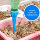 Irrigation system for plants: Easy and worry-free watering (x6) 