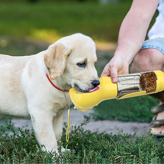 4-in-1 fles om uw hond te hydrateren en te voeden 